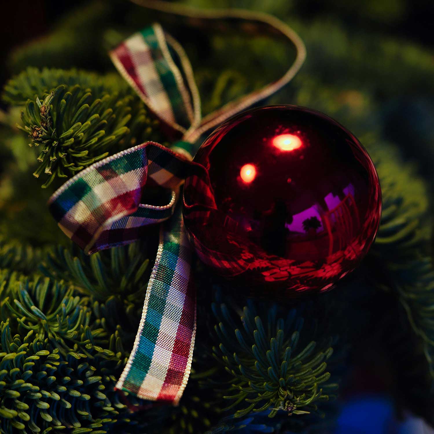 Christmas Tree Decoration